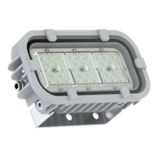 Светодиодный светильник FWL 31-21-850-D60